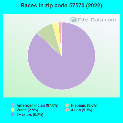 Races in zip code 57570 (2022)