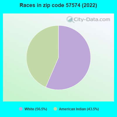 Races in zip code 57574 (2022)