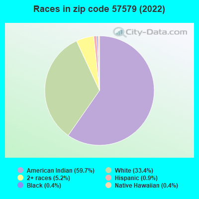 Races in zip code 57579 (2022)
