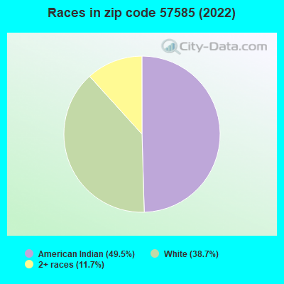 Races in zip code 57585 (2022)