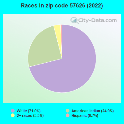 Races in zip code 57626 (2022)