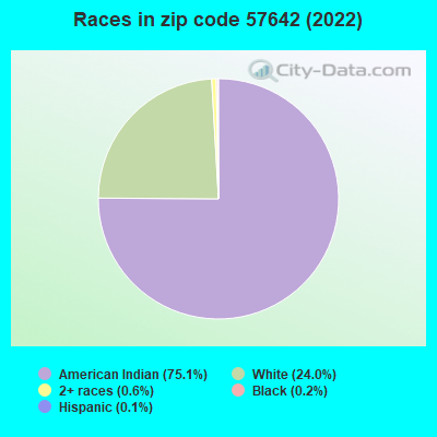Races in zip code 57642 (2022)