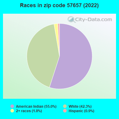 Races in zip code 57657 (2022)