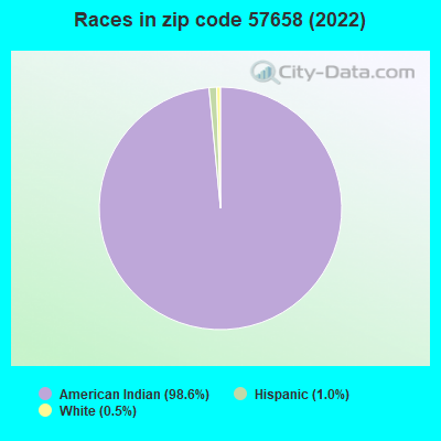 Races in zip code 57658 (2022)