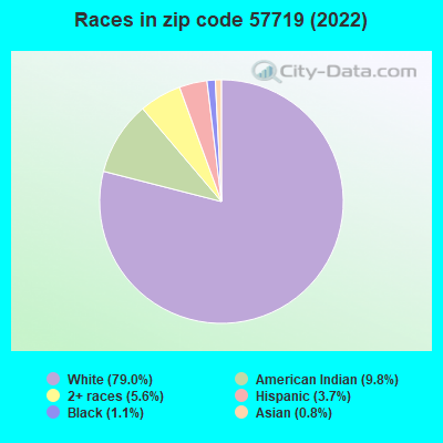 Races in zip code 57719 (2022)