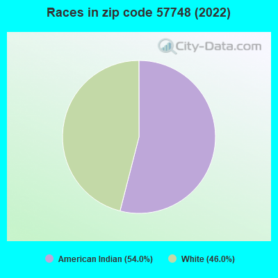 Races in zip code 57748 (2022)