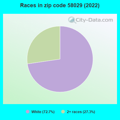 Races in zip code 58029 (2022)