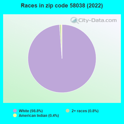 Races in zip code 58038 (2022)