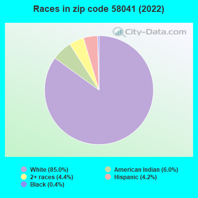 Races in zip code 58041 (2022)