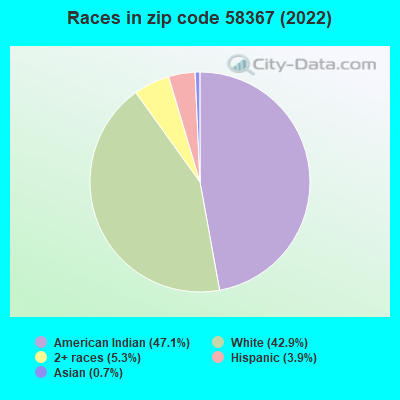 Races in zip code 58367 (2022)