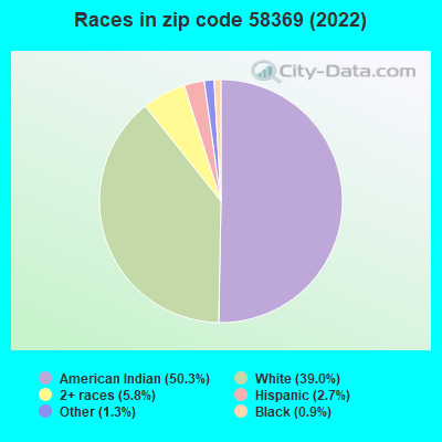 Races in zip code 58369 (2022)