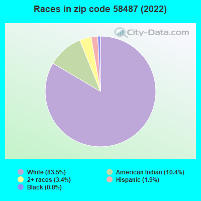 Races in zip code 58487 (2022)