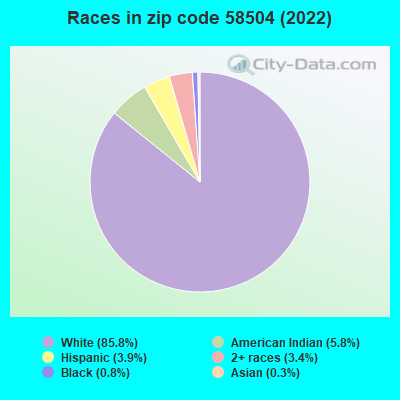 Races in zip code 58504 (2022)