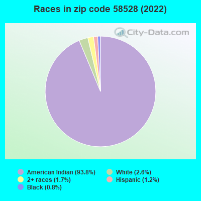 Races in zip code 58528 (2022)