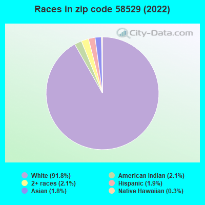 Races in zip code 58529 (2022)