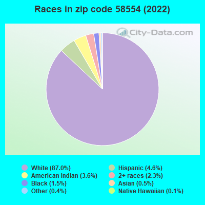 Races in zip code 58554 (2022)