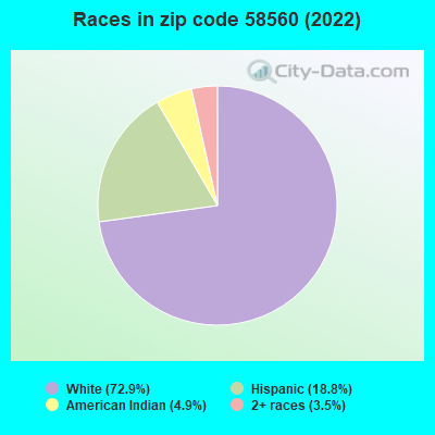 Races in zip code 58560 (2022)