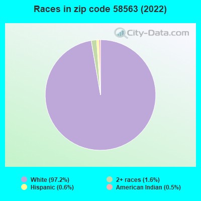 Races in zip code 58563 (2022)