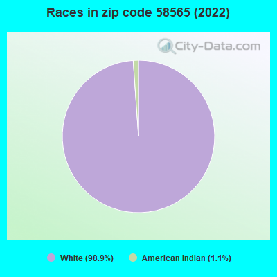 Races in zip code 58565 (2022)