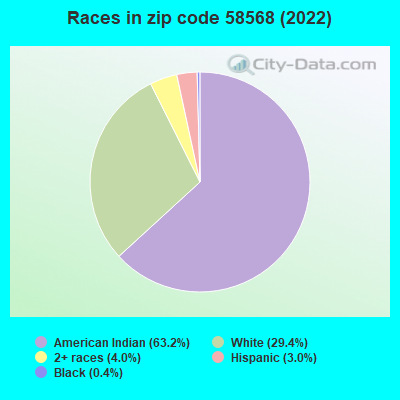 Races in zip code 58568 (2022)