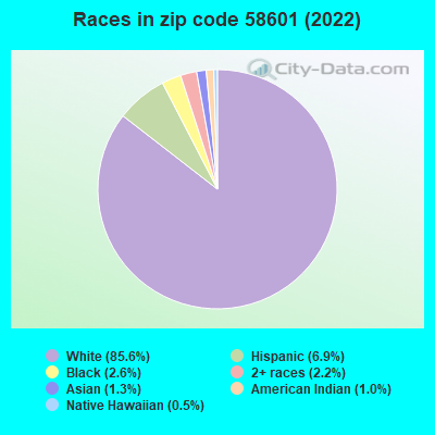 Races in zip code 58601 (2022)