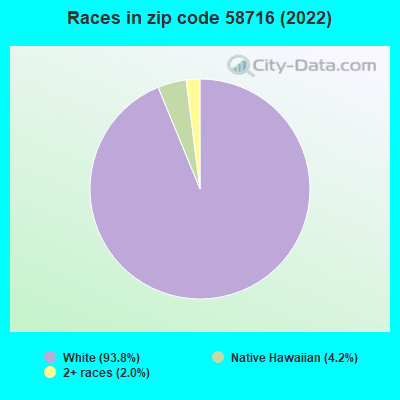 Races in zip code 58716 (2022)