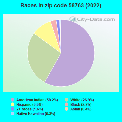 Races in zip code 58763 (2022)