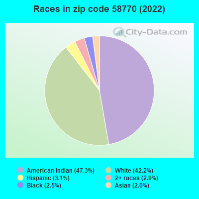Races in zip code 58770 (2022)