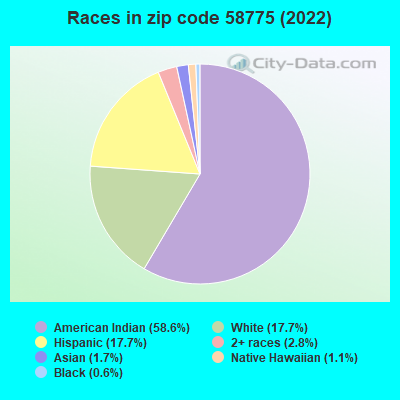 Races in zip code 58775 (2022)