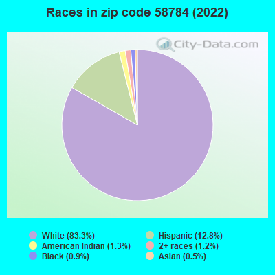 Races in zip code 58784 (2022)