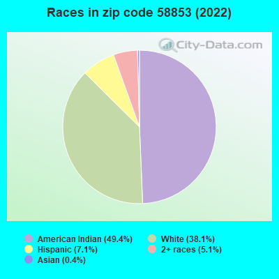 Races in zip code 58853 (2022)