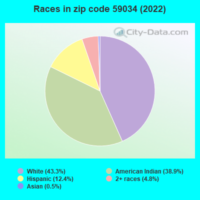 Races in zip code 59034 (2022)