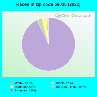 Races in zip code 59036 (2022)