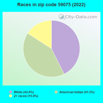 Races in zip code 59075 (2022)