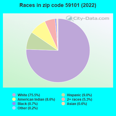 Races in zip code 59101 (2022)