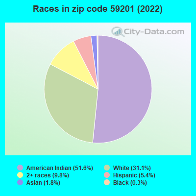 Races in zip code 59201 (2022)