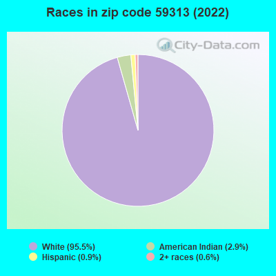 Races in zip code 59313 (2022)