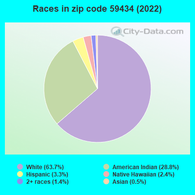 Races in zip code 59434 (2022)