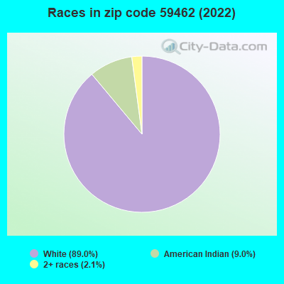 Races in zip code 59462 (2022)