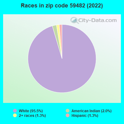 Races in zip code 59482 (2022)