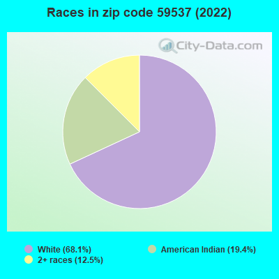 Races in zip code 59537 (2022)