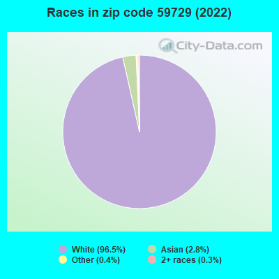 Races in zip code 59729 (2022)