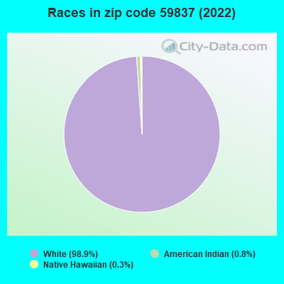 Races in zip code 59837 (2022)