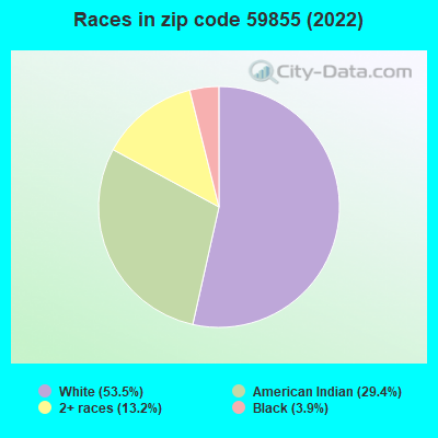 Races in zip code 59855 (2022)