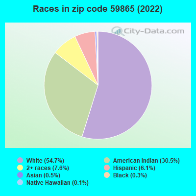 Races in zip code 59865 (2022)