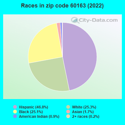 Races in zip code 60163 (2022)