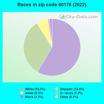 Races in zip code 60176 (2022)