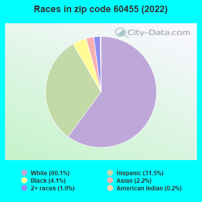 Races in zip code 60455 (2022)