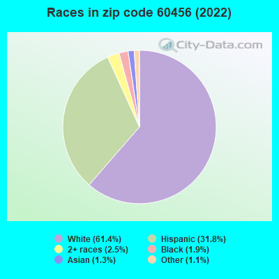 Races in zip code 60456 (2022)