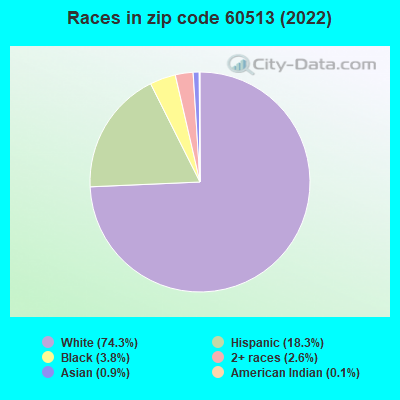 Races in zip code 60513 (2022)